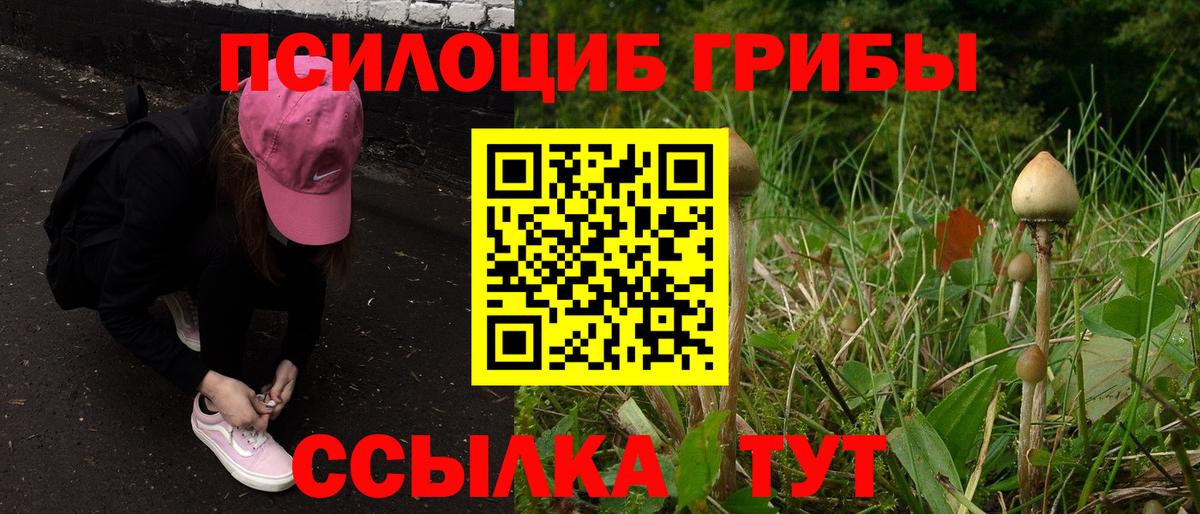 Пугачёв  Псилоцибиновые грибы мухоморы  Вход с VPN 