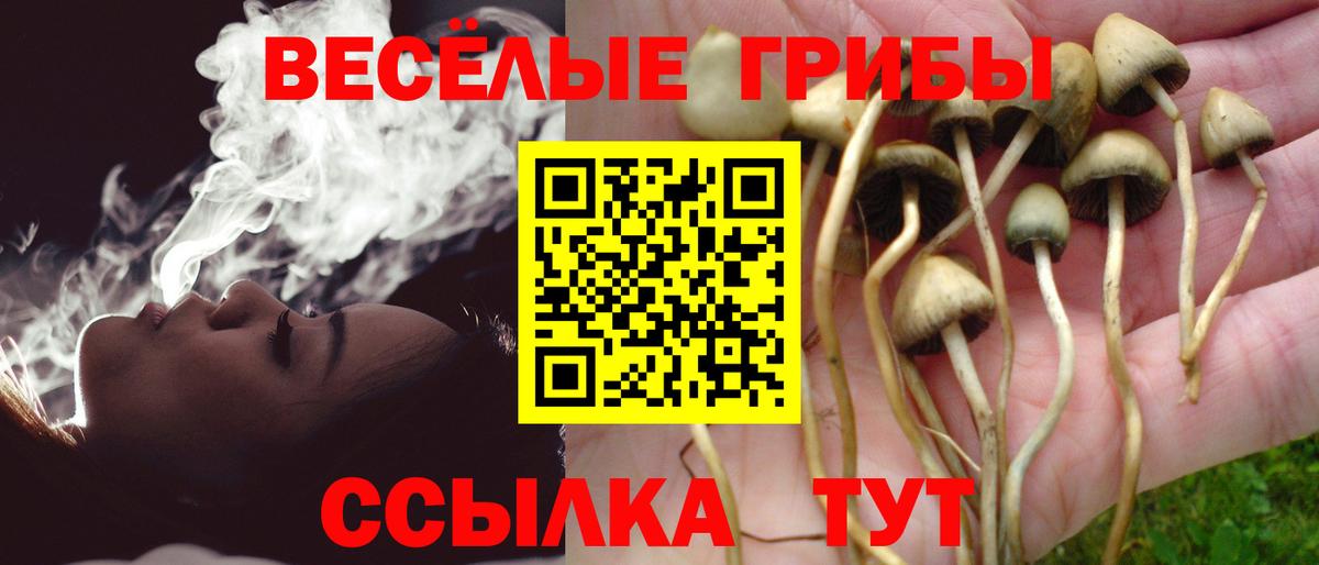 Галлюциногенные грибы Cubensis Пугачёв